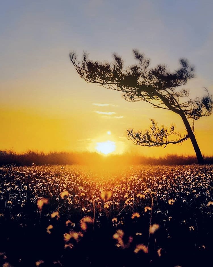 Let this beautiful warm morning sunshine taken by  lift up your Monday mood. 
Ta...