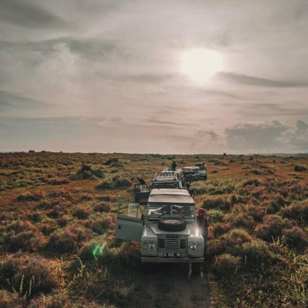Let this wild scene inspire your next adventure! #exploresukabumi photo by  take...