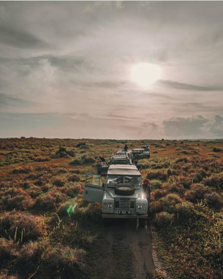 Let this wild scene inspire your next adventure! #exploresukabumi photo by  take...