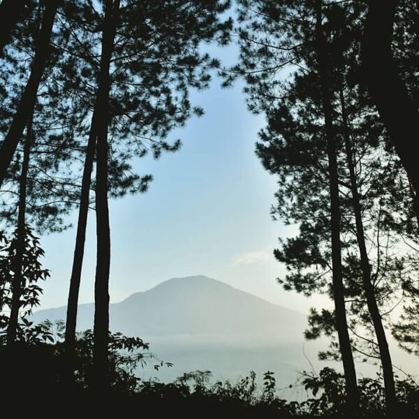 Lost in woods
by  #exploresukabumi...