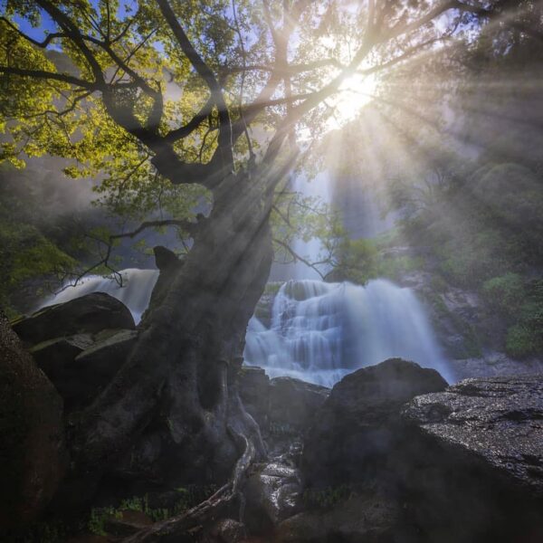 Magical vibes at Curug Cikanteh captured by  #exploresukabumi | #CPUGG...