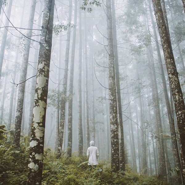 Misty evening scene after the rain.  Photo by  taken around Pasir Datar #explore...