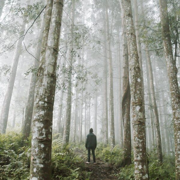 Misty morning scene at Pasir Datar by  #exploresukabumi...