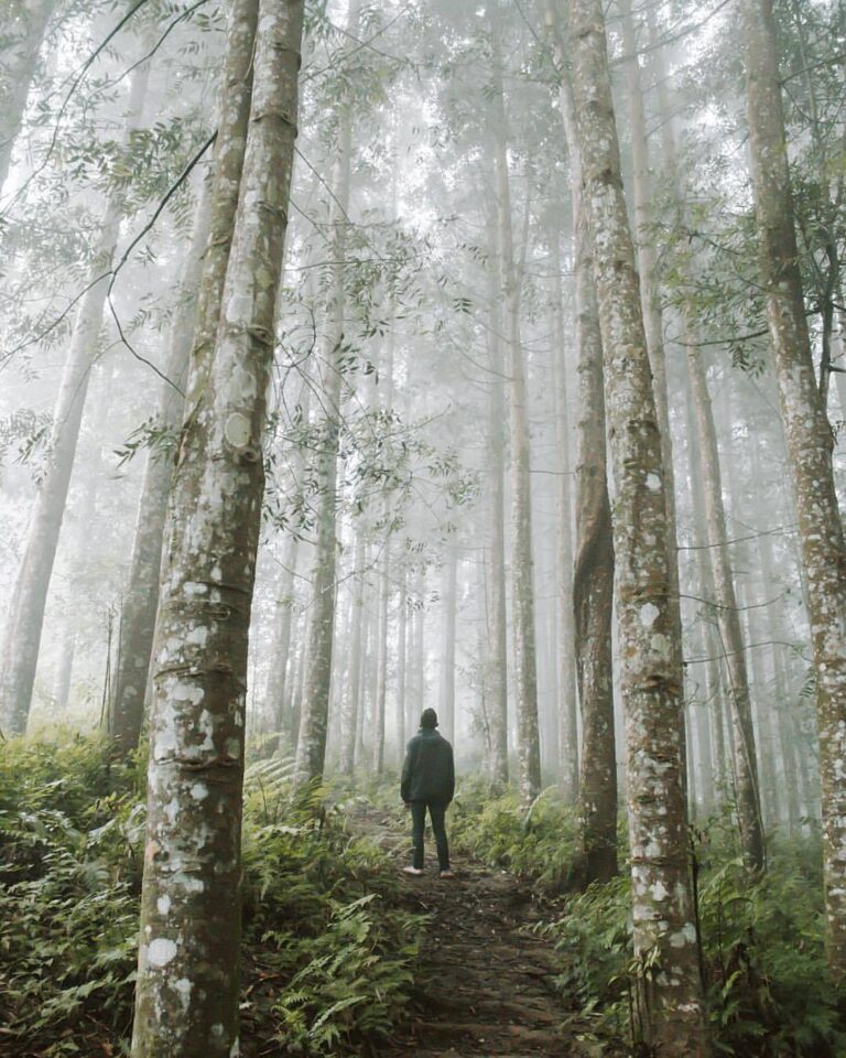 Misty morning scene at Pasir Datar by  #exploresukabumi...