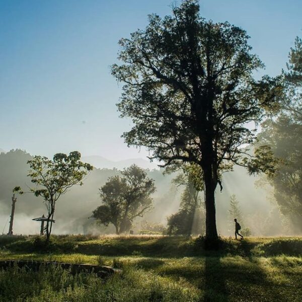 New day has comes with bundles of hope, dreams, and opportunities. It's all up t...