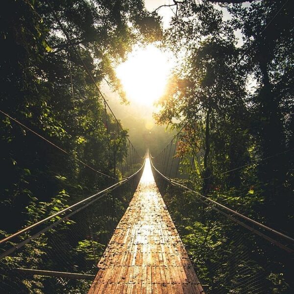 One of Sukabumi's new gem. Have you visited this bridge on the last holiday?
-
A...