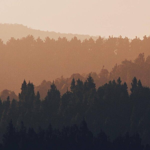 Our favorite sunday morning scene - trees, fog, sky. You? #exploresukabumi photo...
