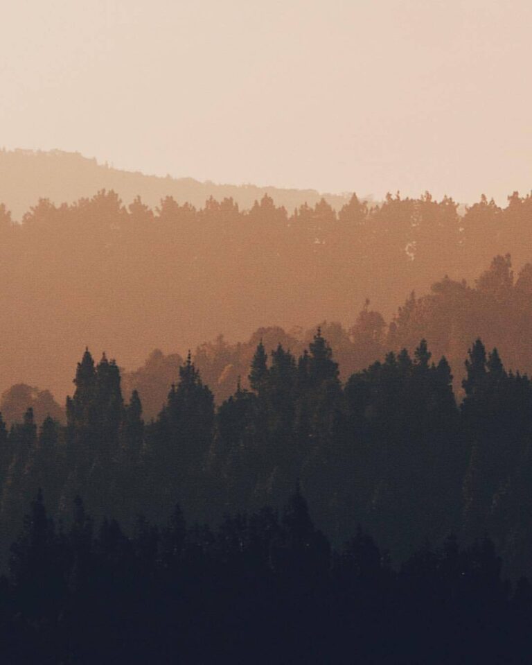 Our favorite sunday morning scene - trees, fog, sky. You? #exploresukabumi photo...
