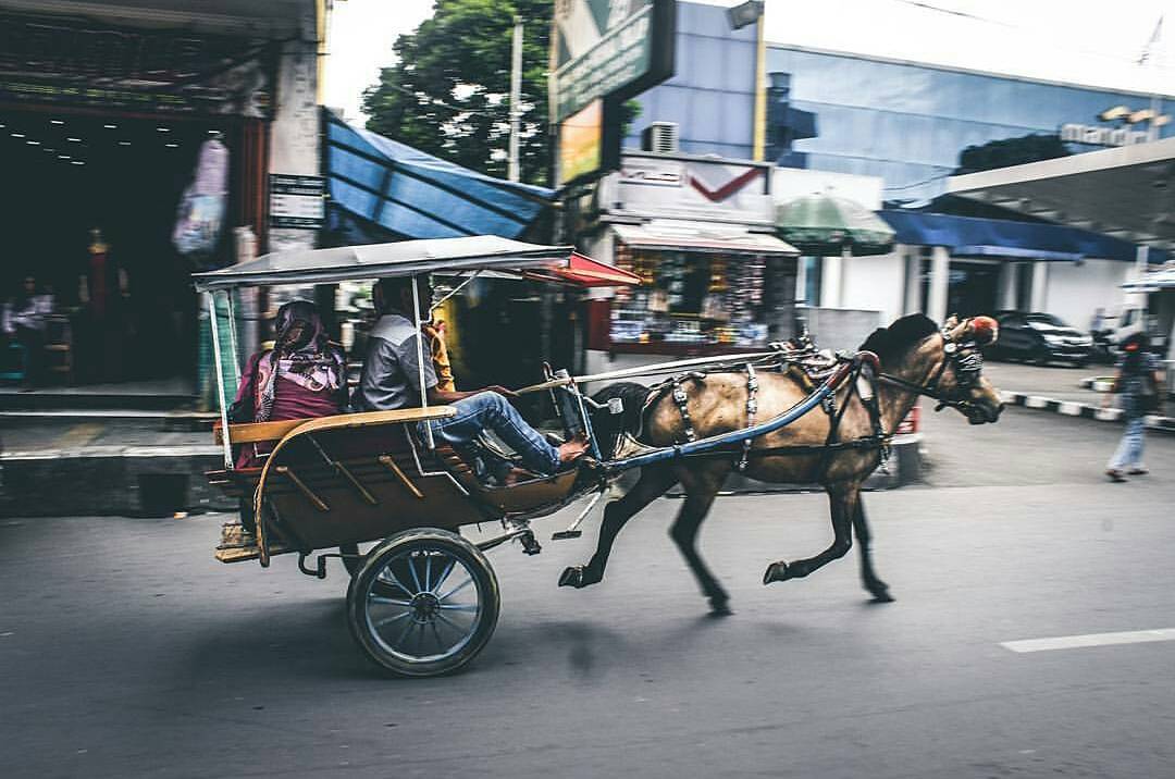 Pernah naik?
Delman - salah satu angkutan tradisional yang beroperasi Di Kota #S...