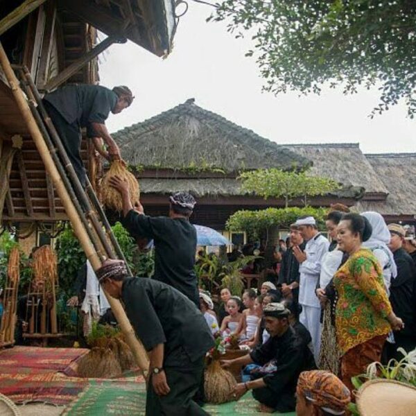 "Procession rice entering into "Leuit" at the time of harvest ceremony locally k...