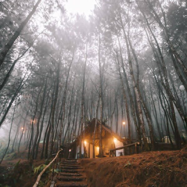 Rainy days has come. And beautiful things come with it. #exploresukabumi photo b...