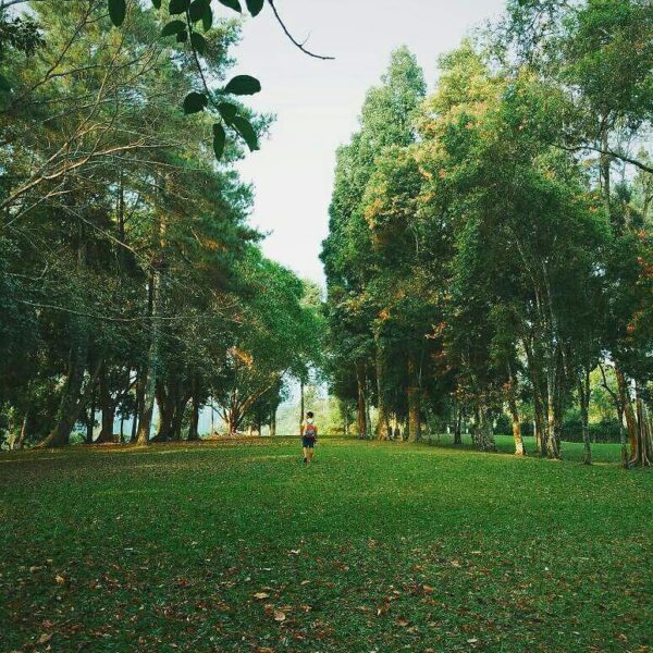 Remember the last time you visited Selabintana? Peaceful scene lensed by  #explo...