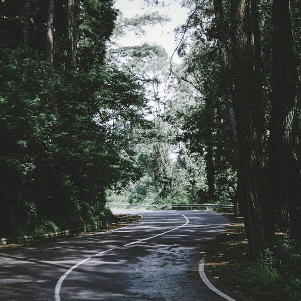 Road path mood
by  #exploresukabumi...