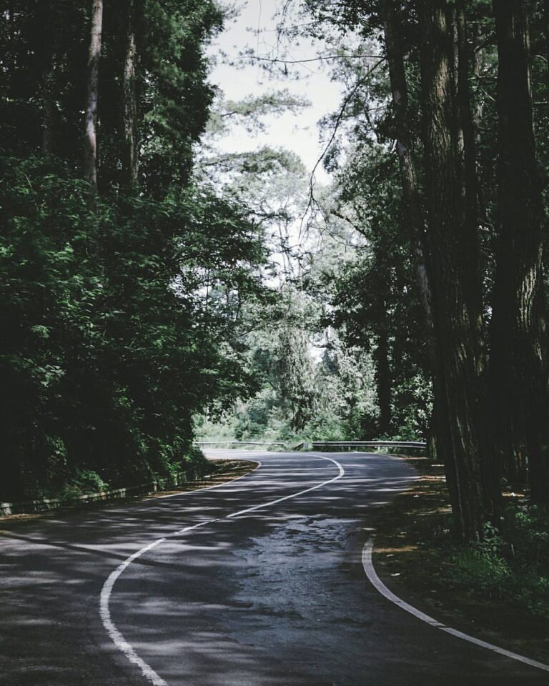 Road path mood
by  #exploresukabumi...