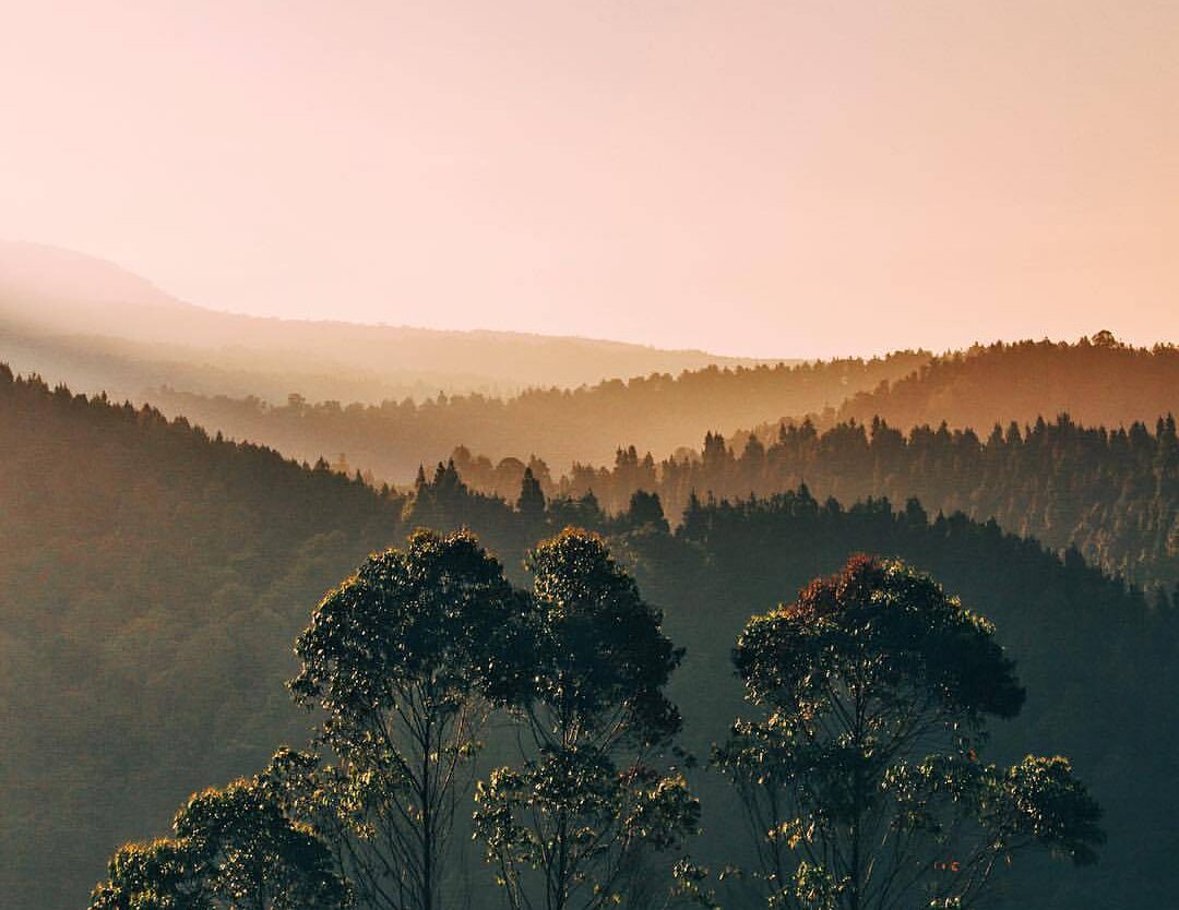 Some places surely don't need human touches to be beautiful and enjoyable. Morni...