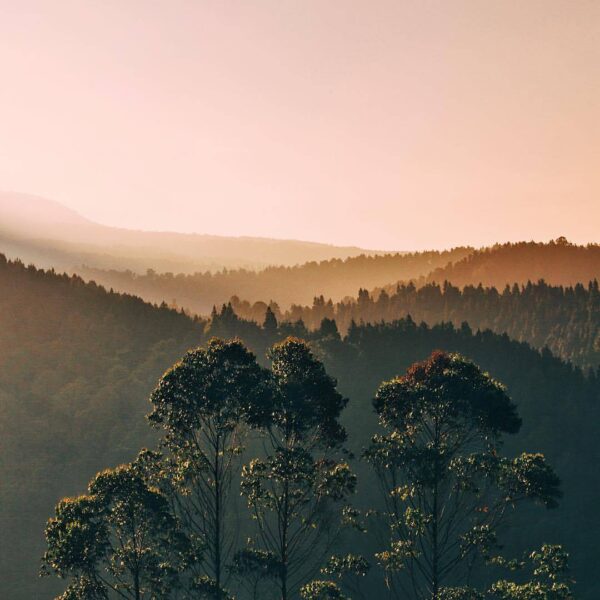 Some places surely don't need human touches to be beautiful and enjoyable. Morni...