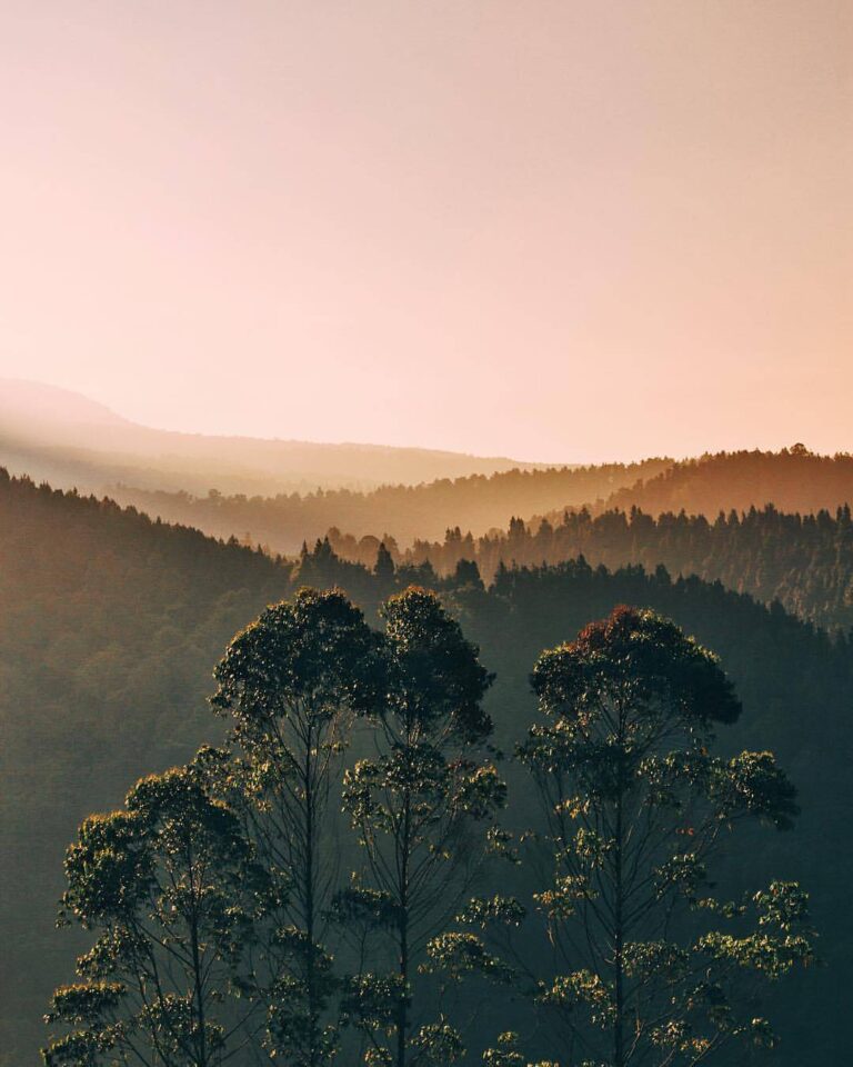 Some places surely don't need human touches to be beautiful and enjoyable. Morni...