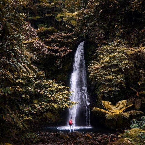 Sukabumi has a lot of waterfalls. Can you mention the one you've shared on your ...