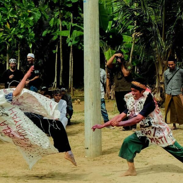 "Tendang layang Kendang Penca"

Gendang penca atau kendang penca satu seni yang ...