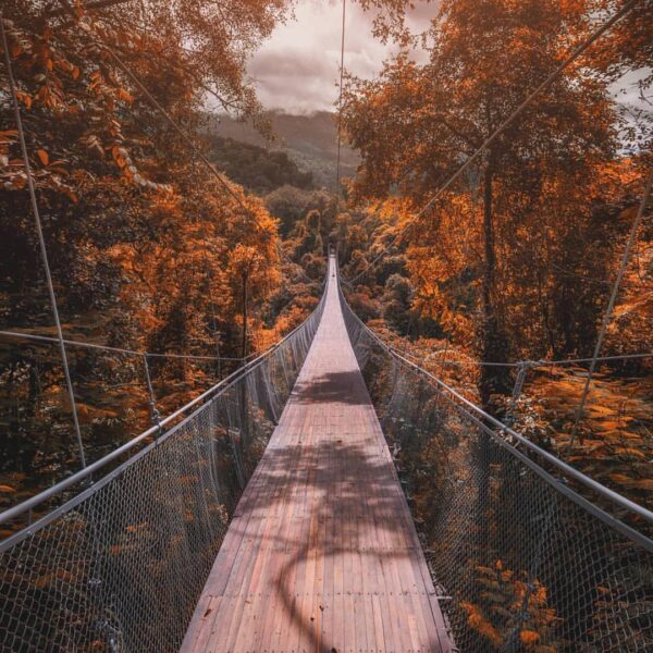 The most-awaited suspension bridge. We can’t wait any longer for the opening of ...