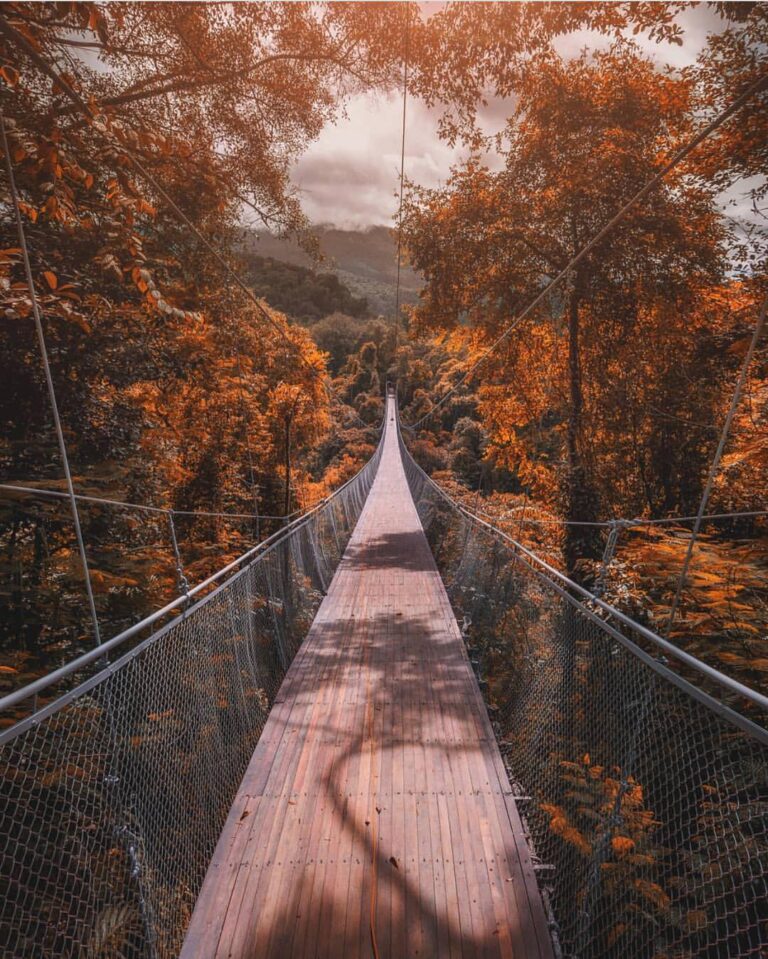 The most-awaited suspension bridge. We can’t wait any longer for the opening of ...
