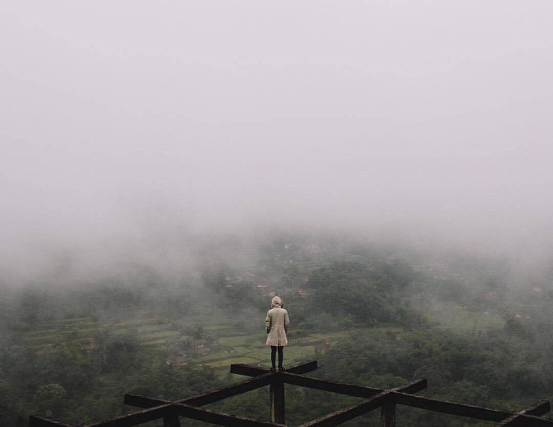 The rain stopped and cloud filled the entire valley, engulfing the mountain side...
