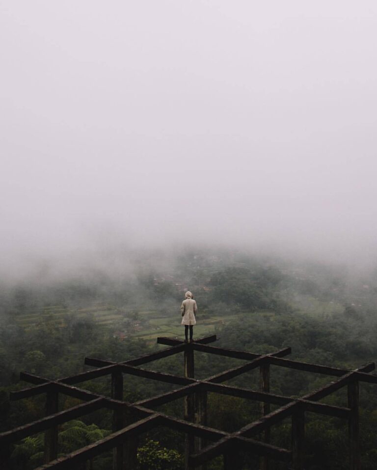 The rain stopped and cloud filled the entire valley, engulfing the mountain side...