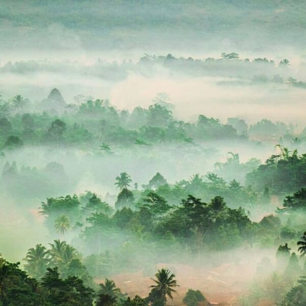 This photograph simply deserves a spotlight! #exploresukabumi photo by ...