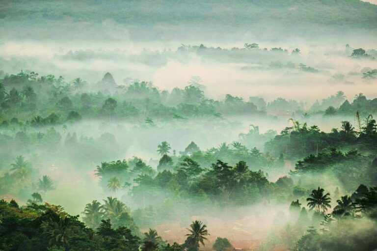 This photograph simply deserves a spotlight! #exploresukabumi photo by ...