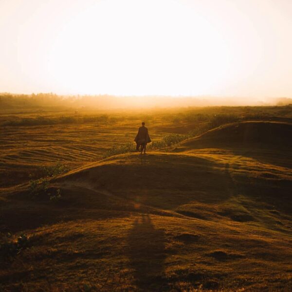 Time flies over us, but leaves its shadow behind. Greet a new day and get a new ...