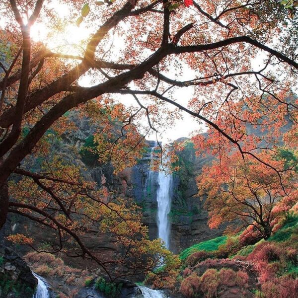 We rarely see this waterfall with these beautiful colors! How cool is this pic? ...