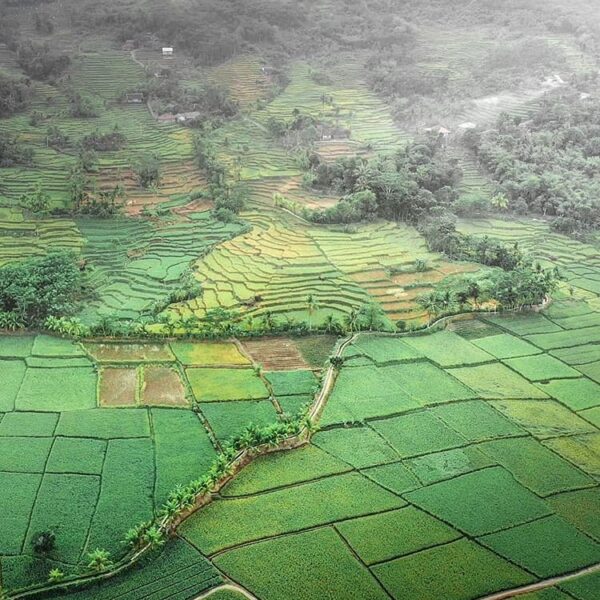 What a picture! 
-
Rice field on Geopark Ciletuh well captured by  #exploresukab...