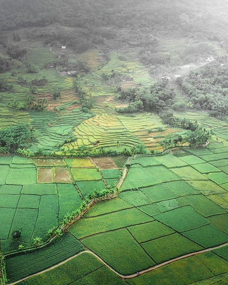 What a picture! 
-
Rice field on Geopark Ciletuh well captured by  #exploresukab...