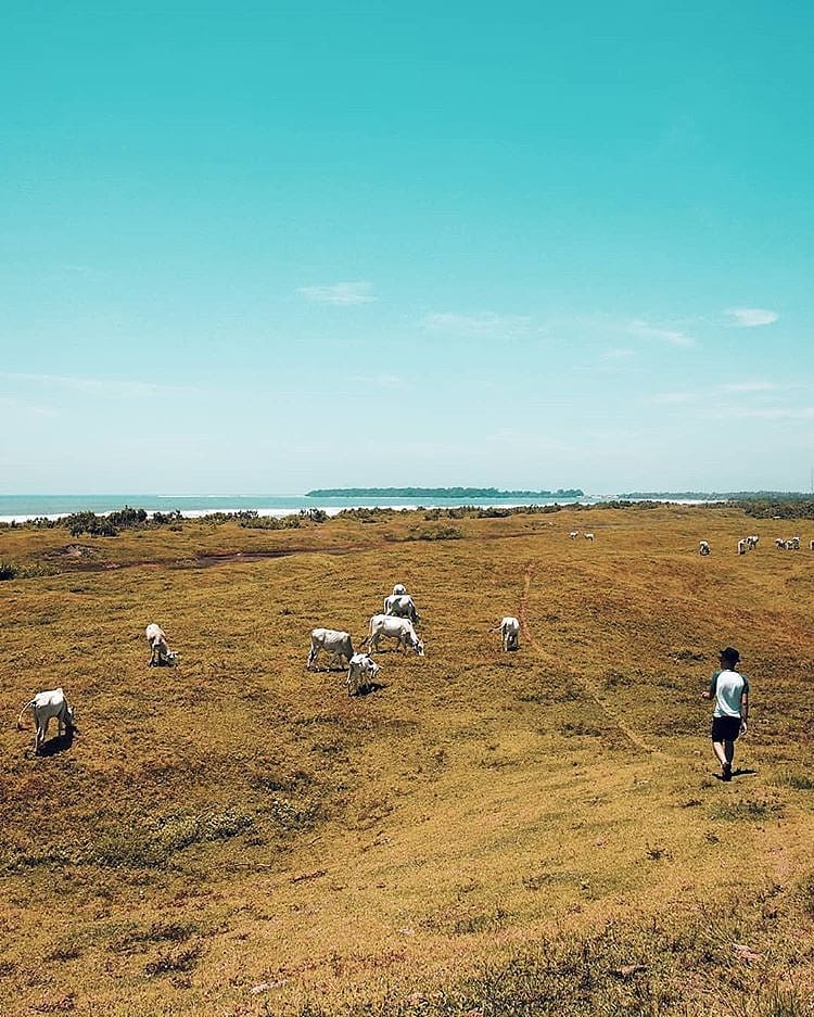 Wilderness in Ujung Genteng captured by  via  #exploresukabumi...