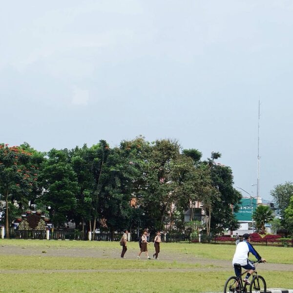 Will we have a more liveable, more attractive, more safe, more sustainable, and ...