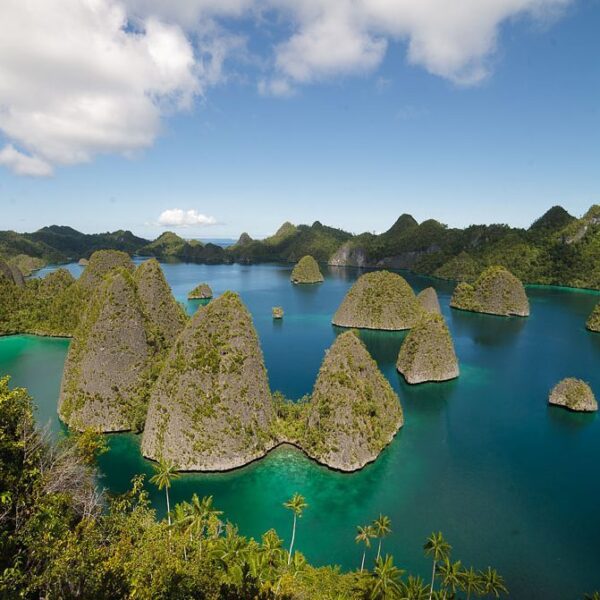Jelajahi pesona Alam Raja Ampat. Perpaduan yang menarik antara keindahan laut da...