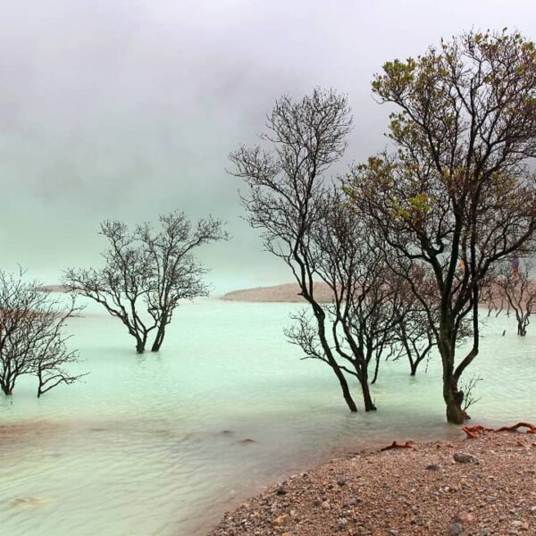 Kawah Putih tak hanya indah, ternyata juga unik karena kawahnya bisa disentuh la...