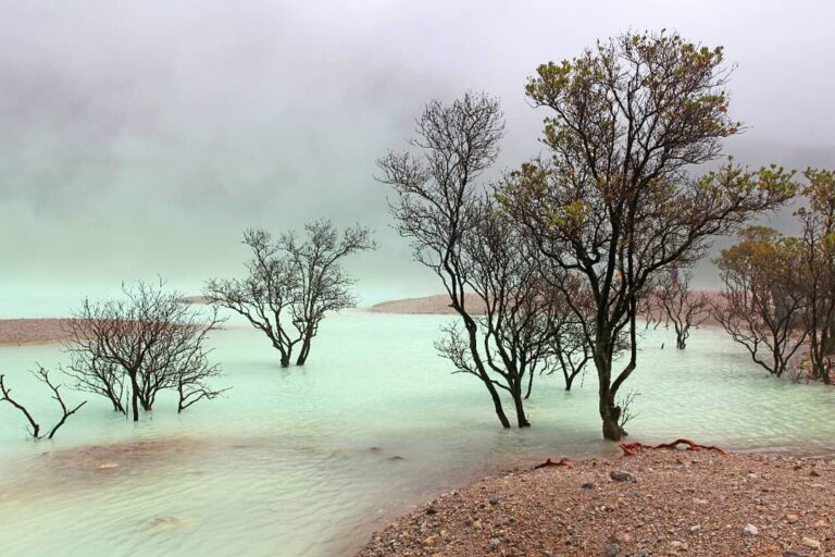 Kawah Putih tak hanya indah, ternyata juga unik karena kawahnya bisa disentuh la...