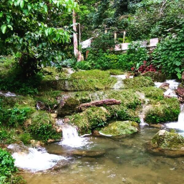 Kawasan air terjun manggaya, kecamagan bintang, kabupaten aceh tengah. Berjarak ...