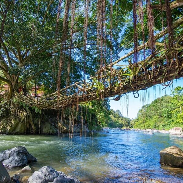 Lain dari yang lain, Jembatan Akar Painan terkenal bukan karena kemegahannya mel...