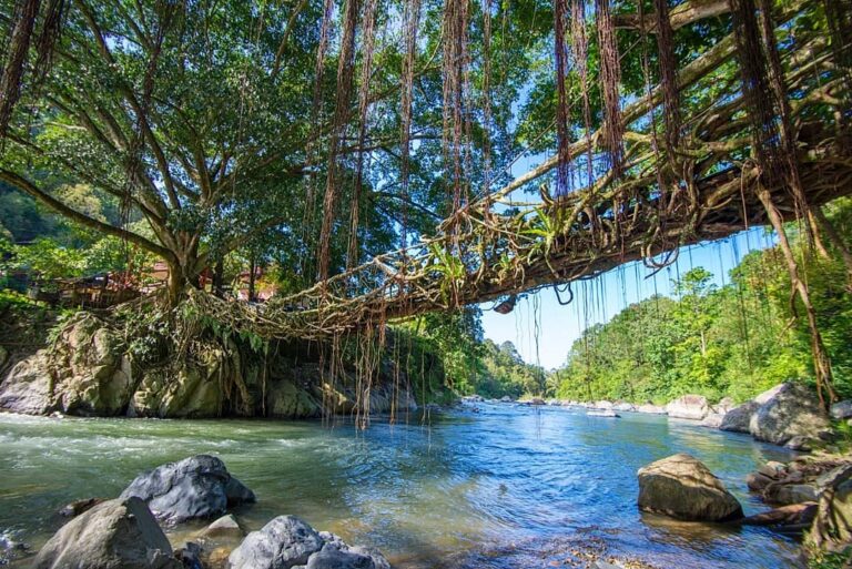 Lain dari yang lain, Jembatan Akar Painan terkenal bukan karena kemegahannya mel...