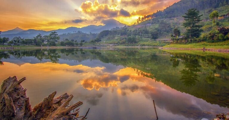 Lebih suka memancing atau berkemah?
.
Kalau suka dua-duanya, kalian boleh pilih ...