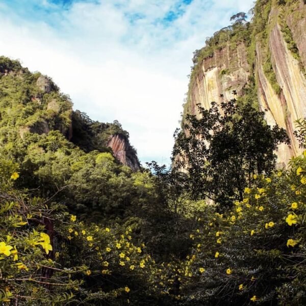 Lembah Harau, lembah datar yang diapit dua bukit cadas yang terjal, berkelok den...