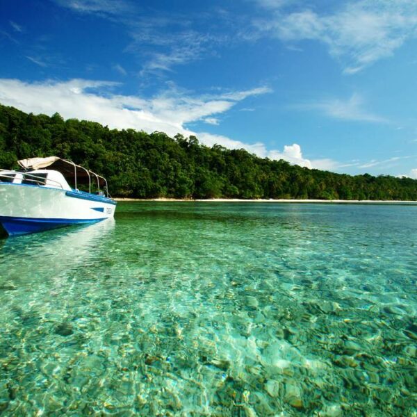 Mari bersandar di Pulau Kakaban dan bermain-main bersama ubur-ubur di Danau Air ...