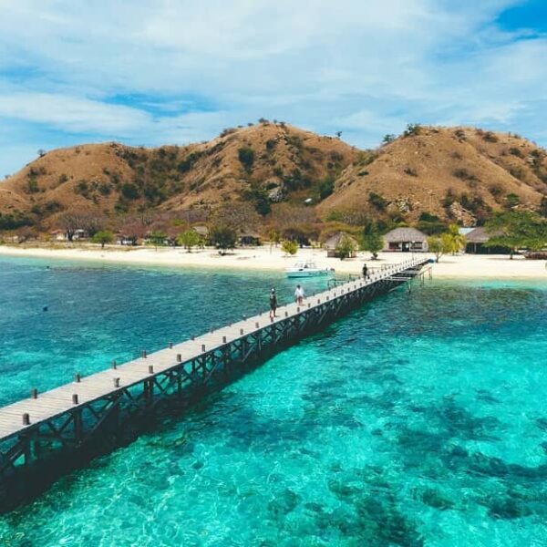 Mau lihat hiu kecil bermain-main di laut tanpa perlu menyelam? Datang saja ke Pu...
