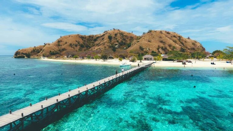 Mau lihat hiu kecil bermain-main di laut tanpa perlu menyelam? Datang saja ke Pu...