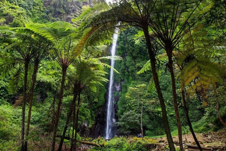 Mau ngerasain sensasi mandi di tengah hutan lindung ditemani wangi aroma bunga k...