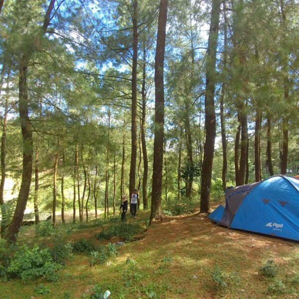 Nikmati suasana alam yang asri di kawasan hutan wisata Malino, Gowa, Sulawesi Se...