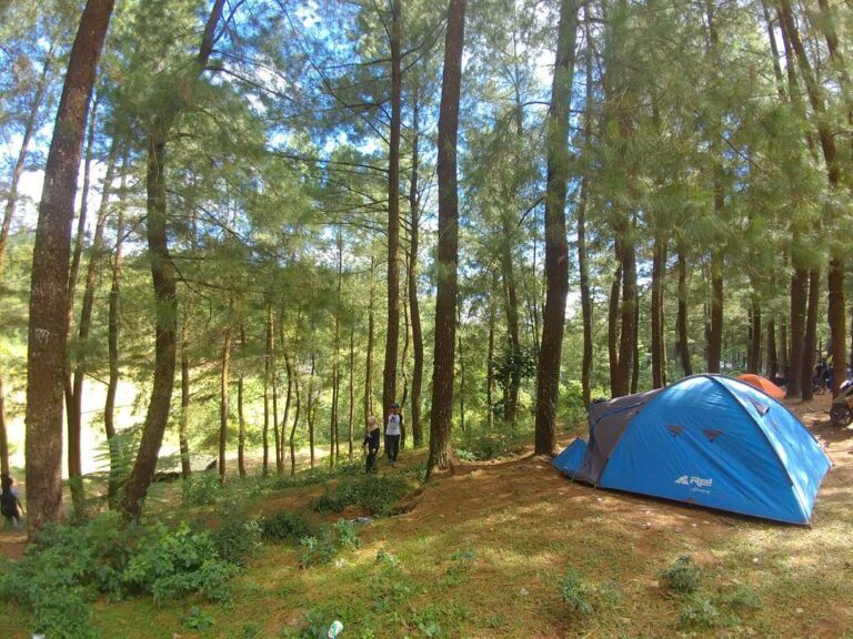 Nikmati suasana alam yang asri di kawasan hutan wisata Malino, Gowa, Sulawesi Se...