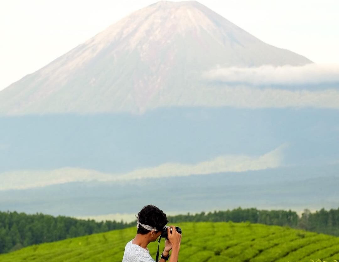 Panorama Kebun Teh Kertowono, desa Gucialit, kabupaten Lumajang, yang masih masu...